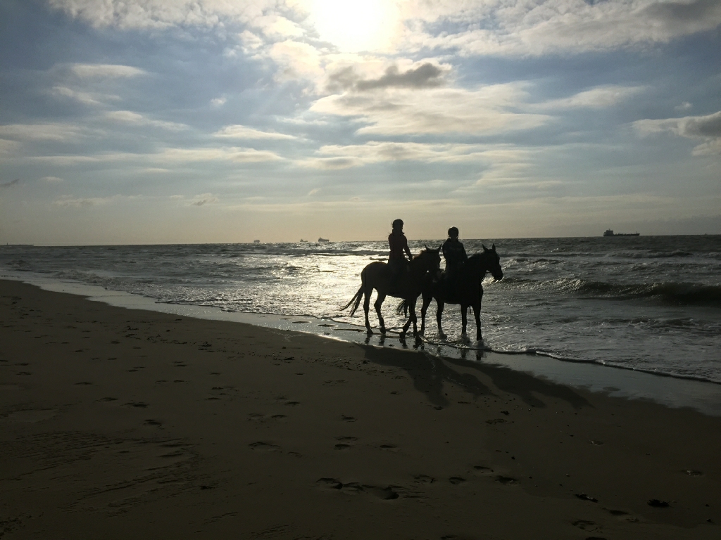 strand Cadzand-Bad